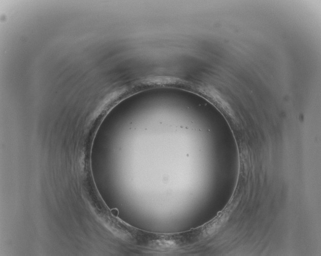 X0000073700159200608101822