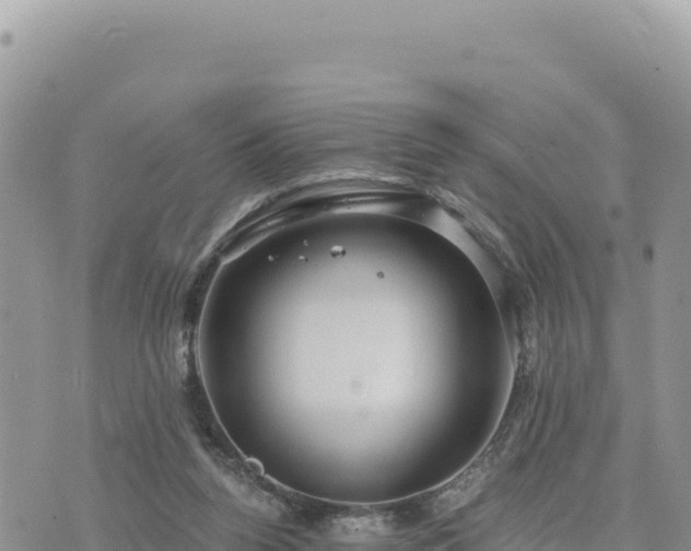 X0000073700160200608101822