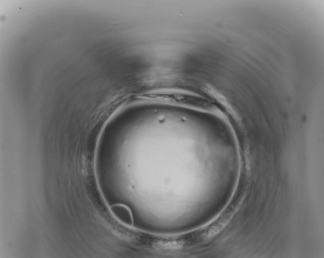 X0000073700161200608101822