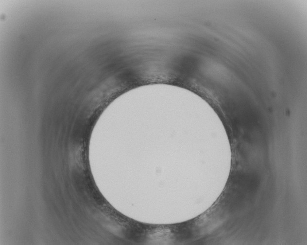 X0000073700162200608101822