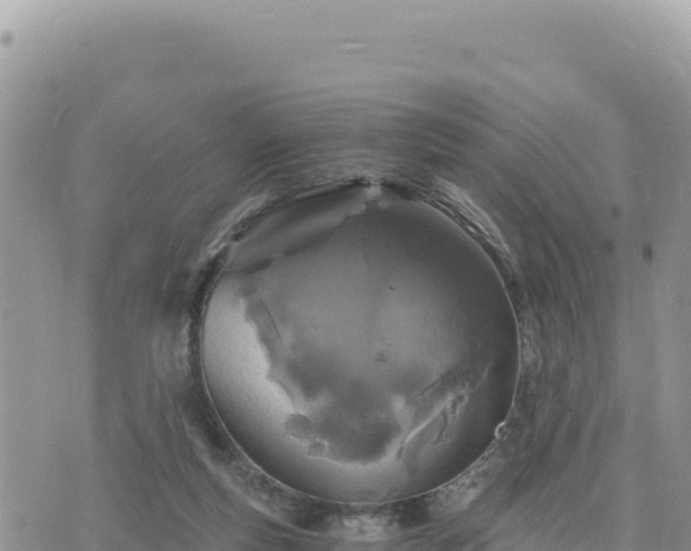 X0000073700163200608101822