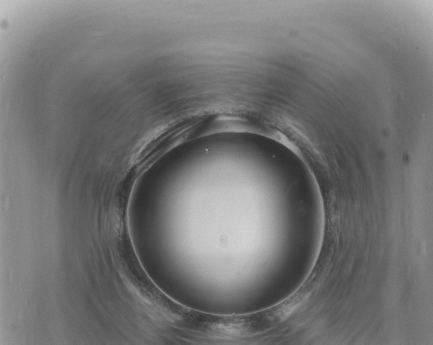 X0000073700164200608101822