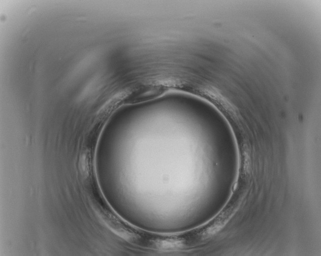 X0000073700165200608101822