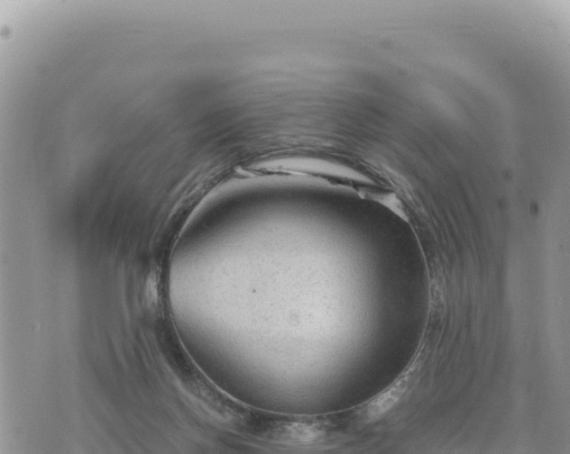 X0000073700166200608101822