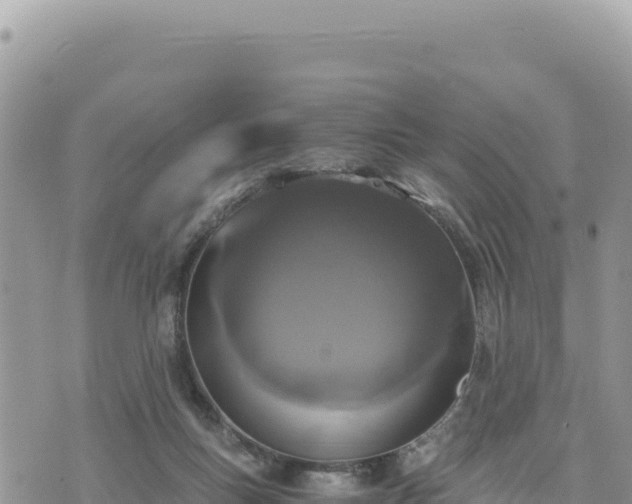 X0000073700167200608101822