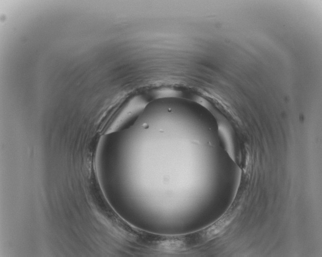 X0000073700168200608101822