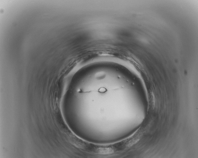 X0000073700169200608101822