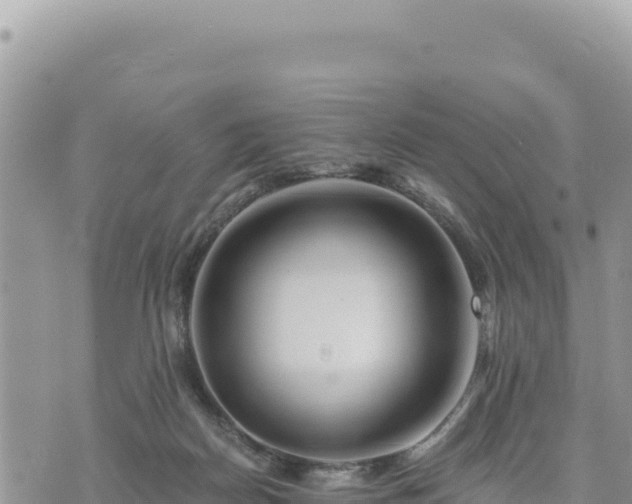 X0000073700170200608101823