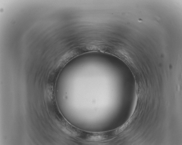 X0000073700171200608101823