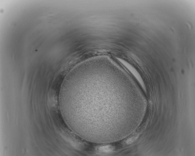 X0000073700173200608101823