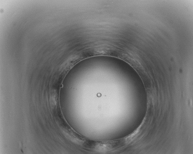 X0000073700174200608101823