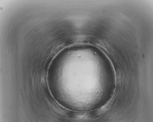 X0000073700175200608101823