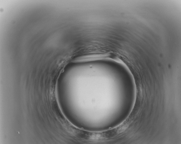 X0000073700177200608101823