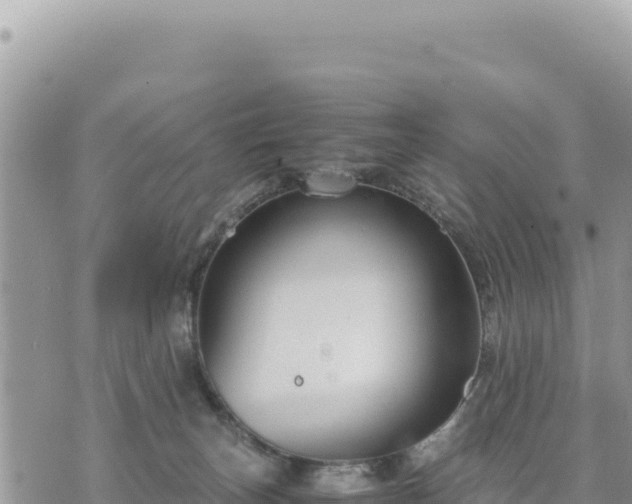 X0000073700179200608101823