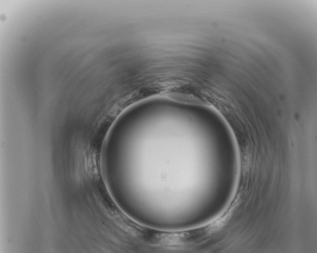 X0000073700182200608101823