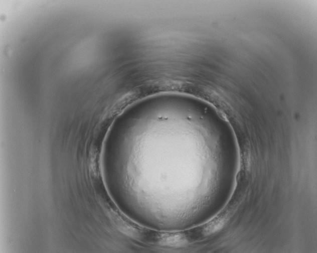 X0000073700185200608101823