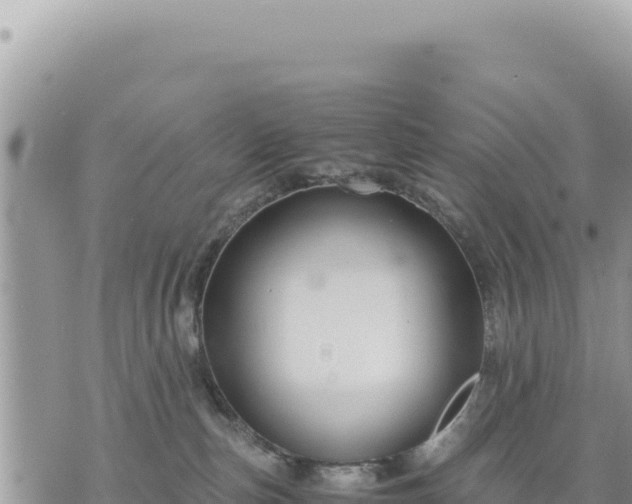 X0000073700187200608101823