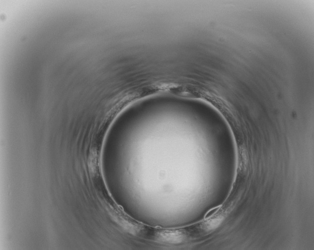 X0000073700189200608101823