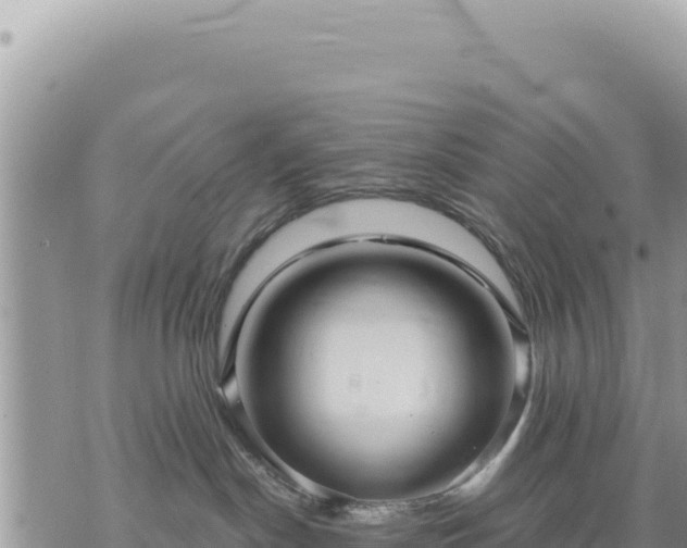 X0000073700190200608101823