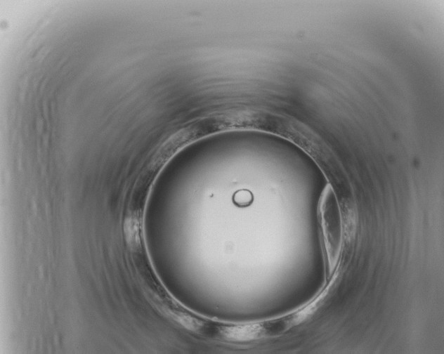 X0000073700191200608101823