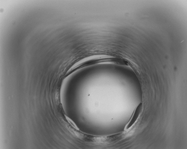 X0000073700192200608101823