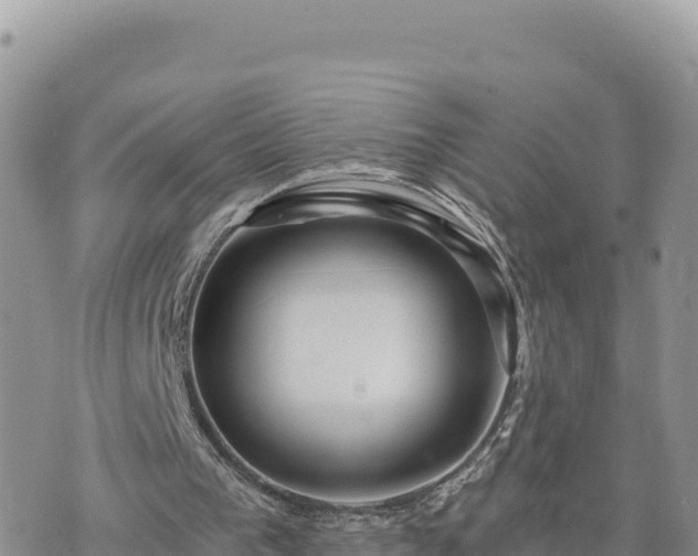 X0000073700193200608101822