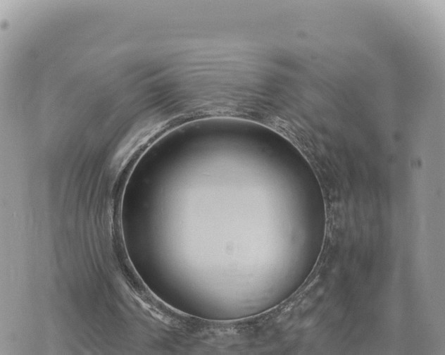 X0000073700194200608101822