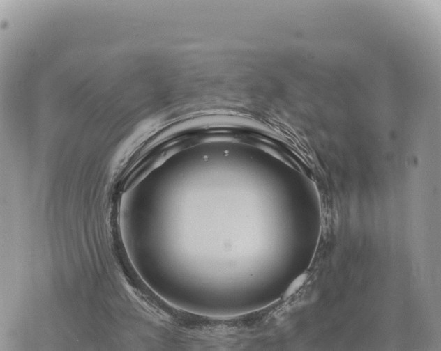 X0000073700197200608101822