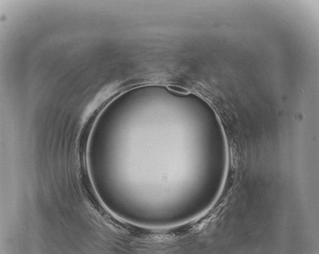 X0000073700198200608101822