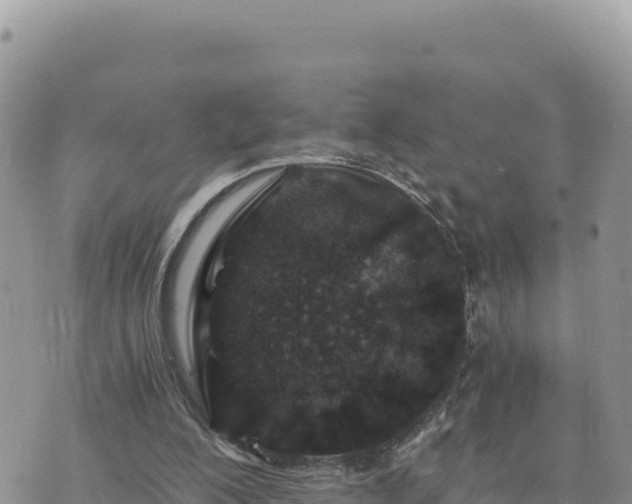 X0000073700200200608101822