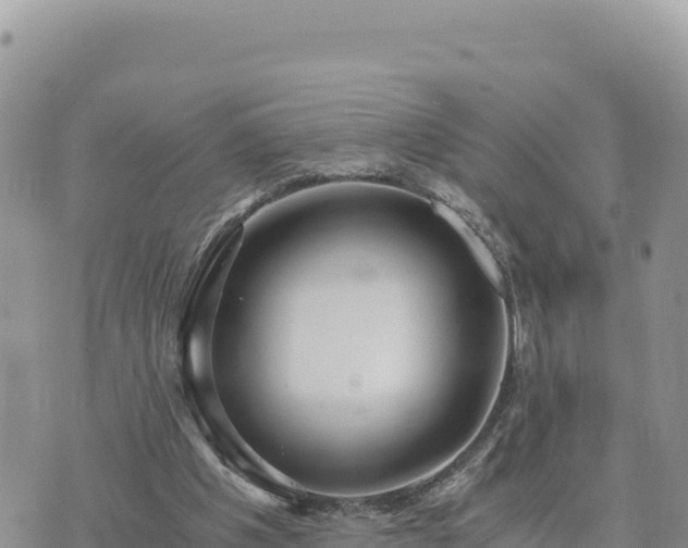 X0000073700201200608101822