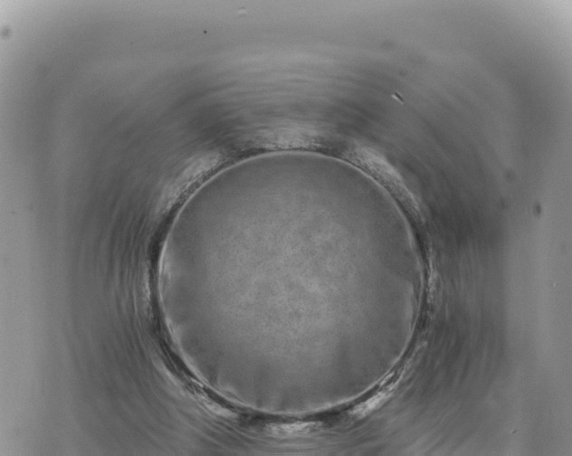 X0000073700202200608101822