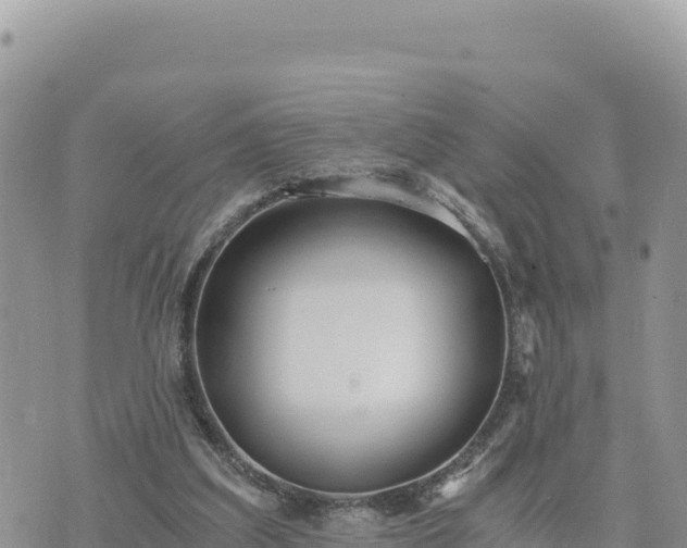 X0000073700203200608101822