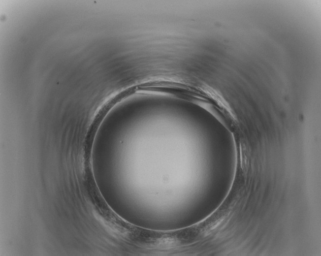 X0000073700204200608101822