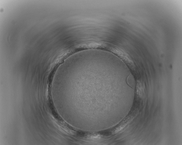 X0000073700206200608101822