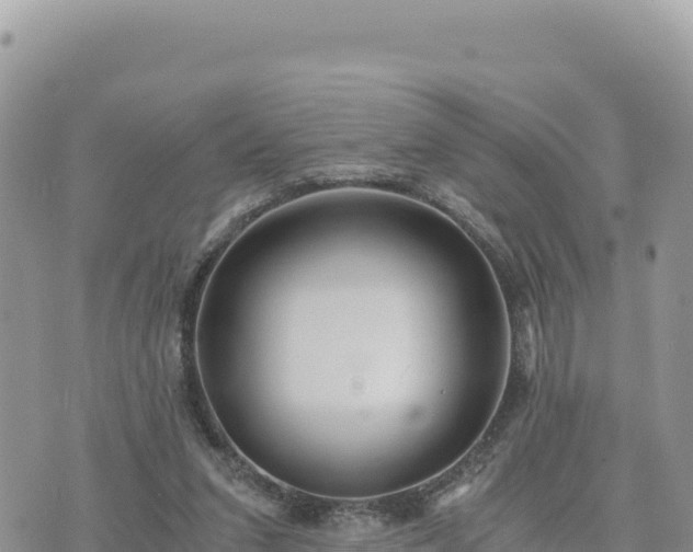 X0000073700207200608101822