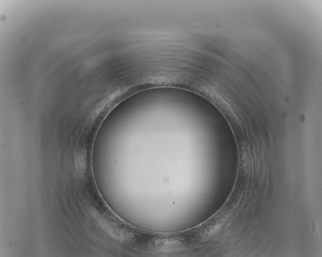 X0000073700208200608101822