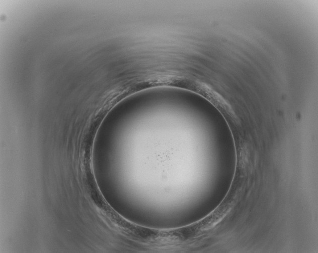 X0000073700209200608101822