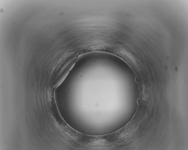 X0000073700210200608101822