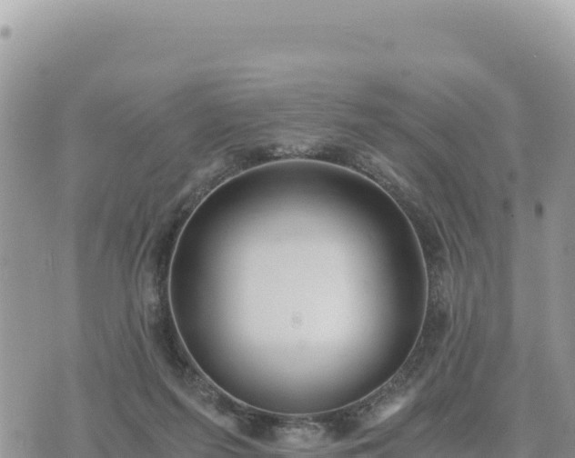 X0000073700215200608101822