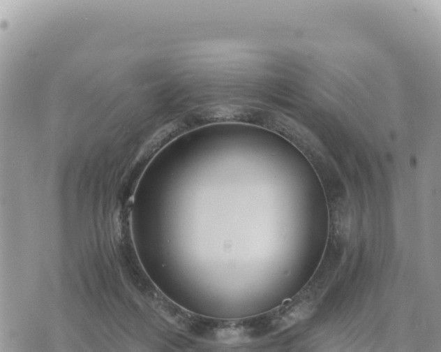 X0000073700216200608101822