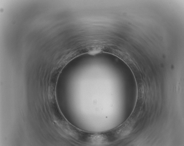 X0000073700218200608101822