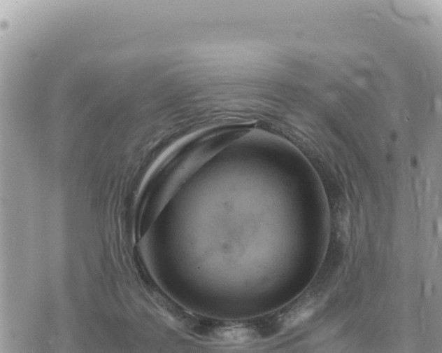 X0000073700219200608101822