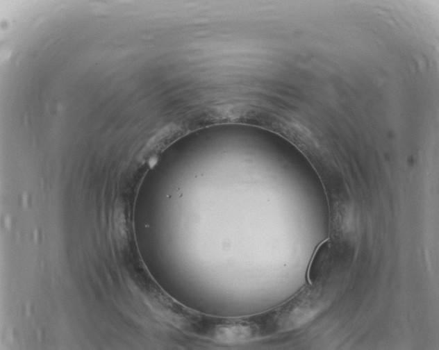 X0000073700220200608101822