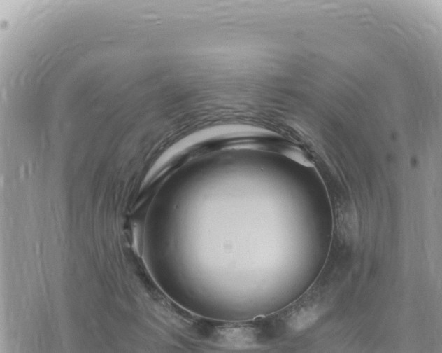 X0000073700221200608101822