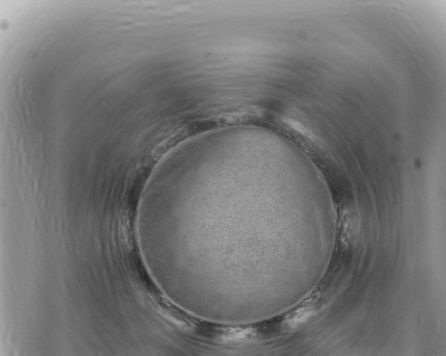 X0000073700222200608101822