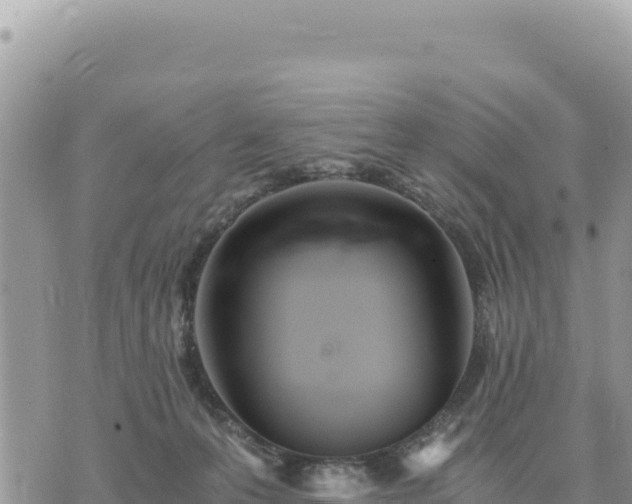 X0000073700223200608101822