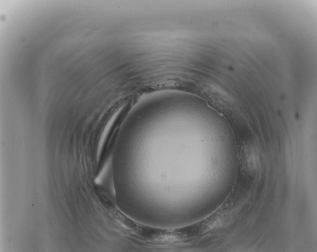 X0000073700224200608101822