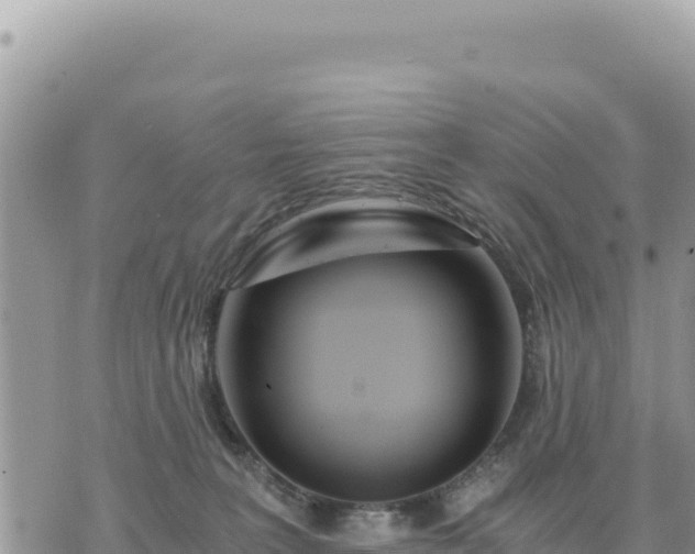 X0000073700227200608101822