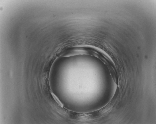 X0000073700229200608101821